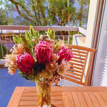 南非12日10晚私家团 南非12日10晚私家团