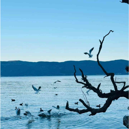 大理市+丽江+泸沽湖6日5晚自由行 大理市+丽江+泸沽湖6日5晚自由行
