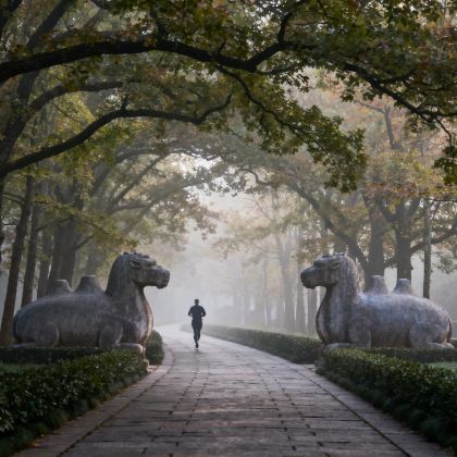 江苏南京3日2晚自由行 江苏南京3日2晚自由行