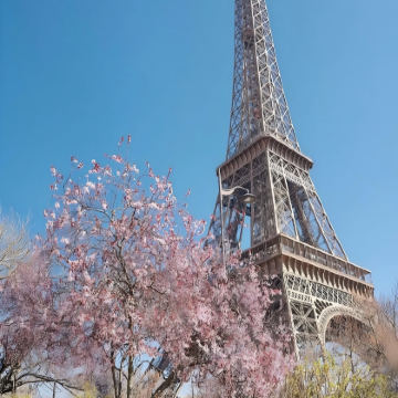 荷兰+法国12日11晚自由行 荷兰+法国12日11晚自由行