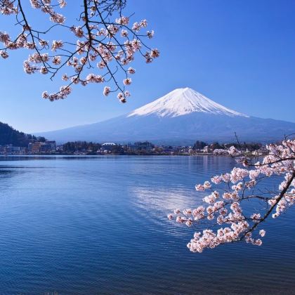 日本东京+横滨+镰仓市+箱根+伊豆+京都+大阪12日11晚跟团游 日本东京+横滨+镰仓市+箱根+伊豆+京都+大阪12日11晚跟团游