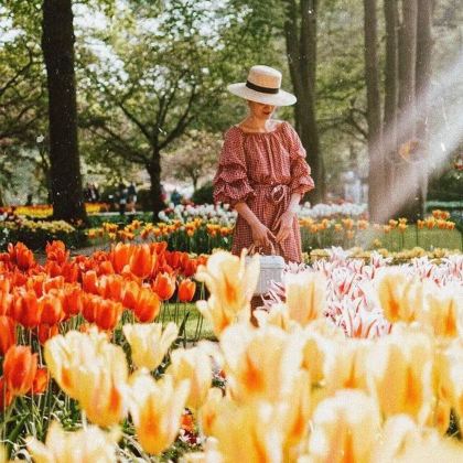 法国+荷兰+布鲁塞尔13日10晚跟团游 法国+荷兰+布鲁塞尔13日10晚跟团游