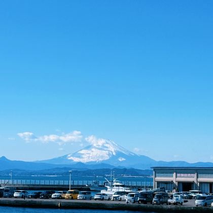 日本大阪+京都+富士山+东京+镰仓市6日5晚跟团游 日本大阪+京都+富士山+东京+镰仓市6日5晚跟团游