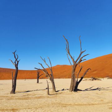 纳米比亚10日7晚跟团游 纳米比亚10日7晚跟团游