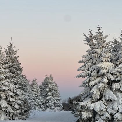 长春+吉林市+哈尔滨+长白山景区+中国雪乡7日6晚跟团游 长春+吉林市+哈尔滨+长白山景区+中国雪乡7日6晚跟团游