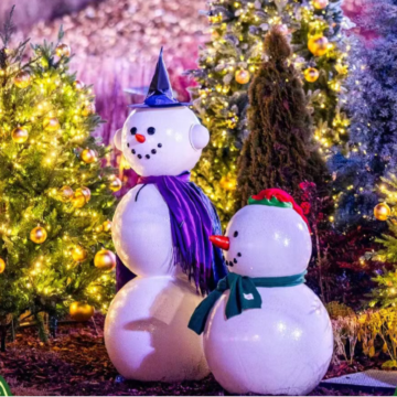 韩国首尔4日3晚私家团 韩国首尔4日3晚私家团