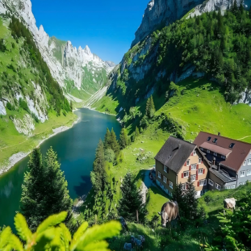 荷兰+瑞士9日8晚自由行 荷兰+瑞士9日8晚自由行