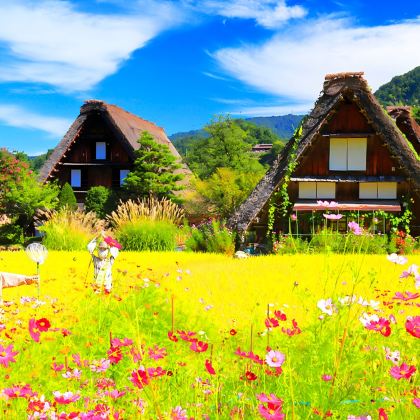 日本名古屋+白川乡+飞弹高地+立山黑部阿尔卑斯山脉+上高地3日2晚跟团游 日本名古屋+白川乡+飞弹高地+立山黑部阿尔卑斯山脉+上高地3日2晚跟团游