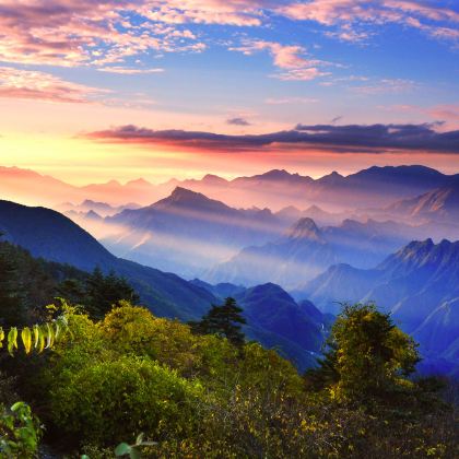 宜昌+神农架4日3晚私家团 宜昌+神农架4日3晚私家团