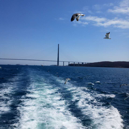 俄罗斯海参崴4日跟团游 俄罗斯海参崴4日跟团游