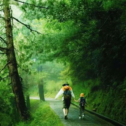哈尔滨+长白山8日7晚私家团 哈尔滨+长白山8日7晚私家团