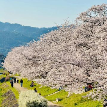 日本九州+福冈+北九州+丝岛市5日4晚跟团游 日本九州+福冈+北九州+丝岛市5日4晚跟团游