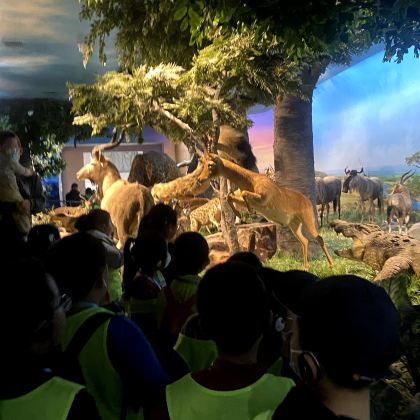 博物馆讲解|北京·亲子半日营丨自然博物馆：奇妙自然探索之旅，神奇动物在哪里？