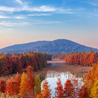 苏州+拙政园+同里古镇+天平山+虎丘山风景名胜区3日2晚私家团 苏州+拙政园+同里古镇+天平山+虎丘山风景名胜区3日2晚私家团