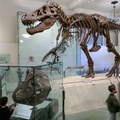 美国纽约+波士顿+听涛山庄7日5晚私家团 美国纽约+波士顿+听涛山庄7日5晚私家团