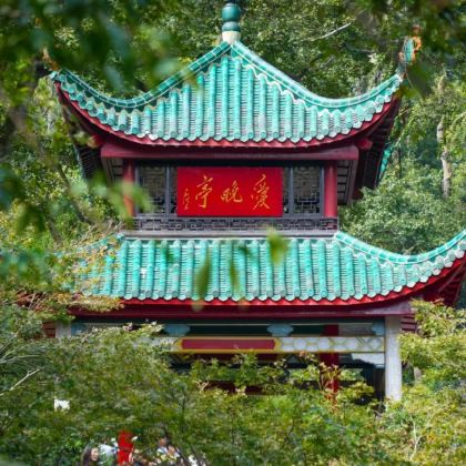 长沙+韶山+岳麓书院+橘子洲4日3晚跟团游 长沙+韶山+岳麓书院+橘子洲4日3晚跟团游