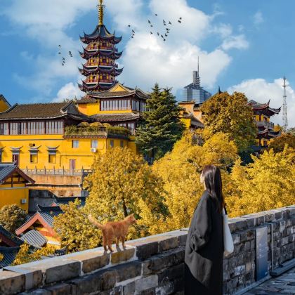 上海+苏州+杭州+乌镇+南京10日9晚私家团 上海+苏州+杭州+乌镇+南京10日9晚私家团