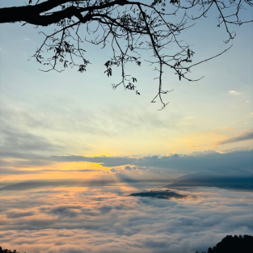 哀牢山虫谷+翁丁原始部落+沧源崖画+龙摩爷圣地+娜允古镇+景迈山7日6晚私家团 哀牢山虫谷+翁丁原始部落+沧源崖画+龙摩爷圣地+娜允古镇+景迈山7日6晚私家团