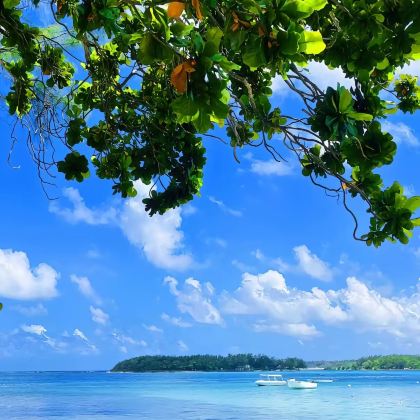 毛里求斯6日5晚拼小团 毛里求斯6日5晚拼小团