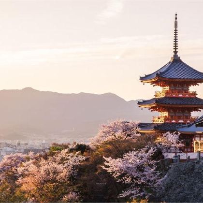 日本大阪+京都+奈良4日3晚半自助游