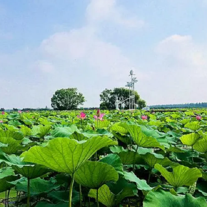 荆门+明显陵文化旅游景区+莫愁村2日1晚私家团 荆门+明显陵文化旅游景区+莫愁村2日1晚私家团