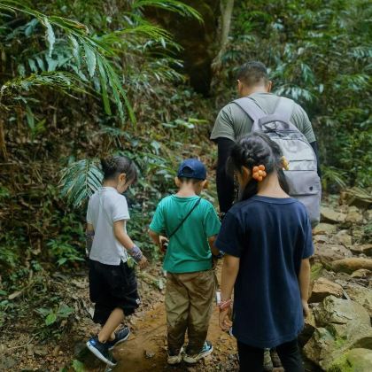 西双版纳+基诺山雨林徒步5日4晚私家团 西双版纳+基诺山雨林徒步5日4晚私家团