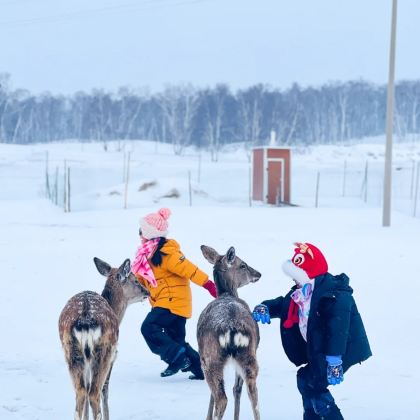秦皇岛+北戴河+承德+木兰围场+坝上+乌兰布统5日4晚私家团 秦皇岛+北戴河+承德+木兰围场+坝上+乌兰布统5日4晚私家团