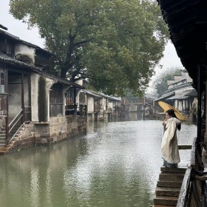 乌镇+西栅+杭州2日1晚跟团游 乌镇+西栅+杭州2日1晚跟团游