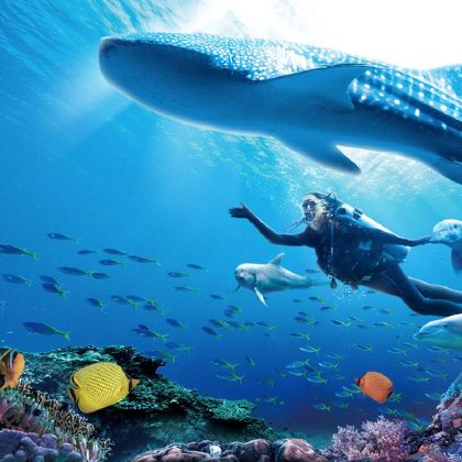 珠海+珠海长隆旅游度假区+澳门5日4晚跟团游 珠海+珠海长隆旅游度假区+澳门5日4晚跟团游