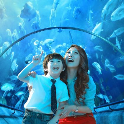 大连+老虎滩海洋公园+棒棰岛3日2晚跟团游 大连+老虎滩海洋公园+棒棰岛3日2晚跟团游