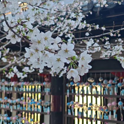 扬州+镇江+泰州6日5晚私家团 扬州+镇江+泰州6日5晚私家团