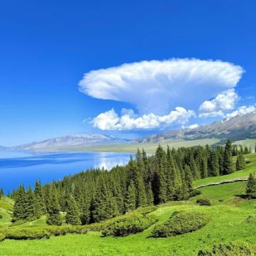 新疆乌鲁木齐+北疆7日6晚私家团 新疆乌鲁木齐+北疆7日6晚私家团