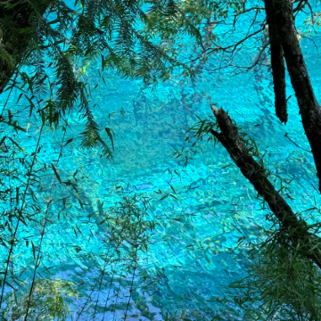 成都+九寨沟+黄龙风景名胜区+峨眉山+都江堰+三星堆博物馆8日7晚私家团 成都+九寨沟+黄龙风景名胜区+峨眉山+都江堰+三星堆博物馆8日7晚私家团