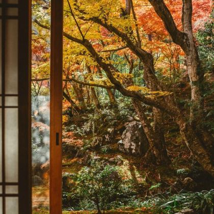 日本大阪+京都7日私家团 日本大阪+京都7日私家团