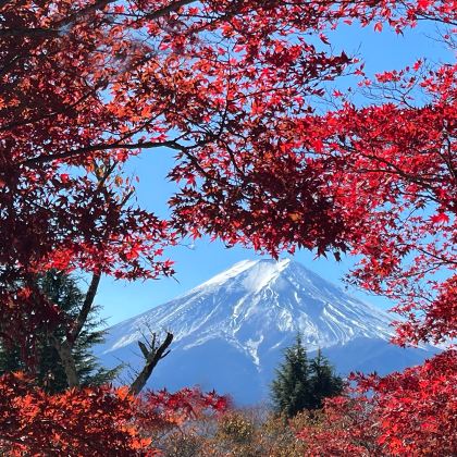日本东京+东京迪士尼乐园+东京哈利波特制片厂之旅+富士山5日4晚私家团 日本东京+东京迪士尼乐园+东京哈利波特制片厂之旅+富士山5日4晚私家团