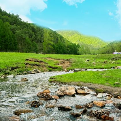 哈尔滨+伊春+五大连池6日5晚私家团 哈尔滨+伊春+五大连池6日5晚私家团