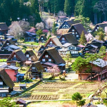 日本名古屋+大阪+京都+奈良8日7晚跟团游 日本名古屋+大阪+京都+奈良8日7晚跟团游