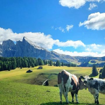 意大利6日5晚拼小团 意大利6日5晚拼小团