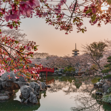 武汉+黄鹤楼+东湖生态旅游风景区+武汉大学4日3晚私家团 武汉+黄鹤楼+东湖生态旅游风景区+武汉大学4日3晚私家团