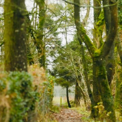 英国伦敦+剑桥+温德米尔镇+爱丁堡+约克+苏格兰高地+天空岛12日11晚私家团 英国伦敦+剑桥+温德米尔镇+爱丁堡+约克+苏格兰高地+天空岛12日11晚私家团