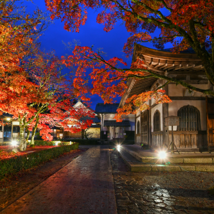 日本名古屋+飞驒高山+金泽+下吕市+白川乡+富山6日5晚私家团 日本名古屋+飞驒高山+金泽+下吕市+白川乡+富山6日5晚私家团