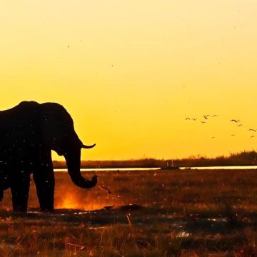 博茨瓦纳+赞比亚10日9晚私家团 博茨瓦纳+赞比亚10日9晚私家团