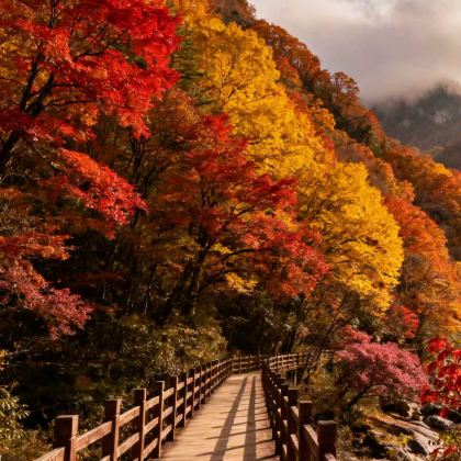 光雾山旅游景区+米仓山国家森林公园+黄柏塬+十八月潭景区7日6晚私家团 光雾山旅游景区+米仓山国家森林公园+黄柏塬+十八月潭景区7日6晚私家团