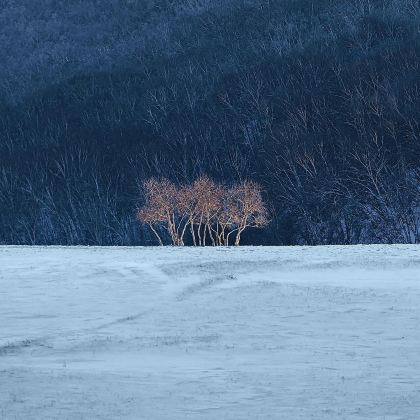锡林郭勒盟+张北坝上草原+乌兰布统+塞罕坝+坝上+承德5日4晚私家团 锡林郭勒盟+张北坝上草原+乌兰布统+塞罕坝+坝上+承德5日4晚私家团