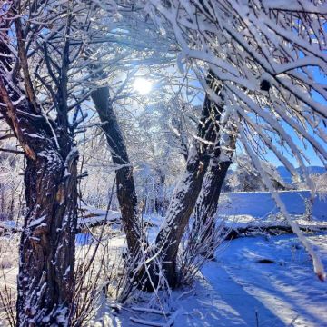 新疆乌鲁木齐+北疆+喀纳斯景区+伊犁+天山天池+吐鲁番+那拉提+赛里木湖10日9晚拼小团 新疆乌鲁木齐+北疆+喀纳斯景区+伊犁+天山天池+吐鲁番+那拉提+赛里木湖10日9晚拼小团