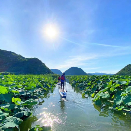 昆明+弥勒+普者黑风景区+蒙自+元阳哈尼梯田+建水+抚仙湖+罗平油菜花景区8日7晚拼小团 昆明+弥勒+普者黑风景区+蒙自+元阳哈尼梯田+建水+抚仙湖+罗平油菜花景区8日7晚拼小团