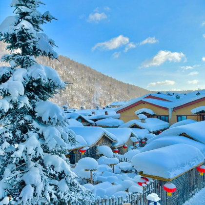 哈尔滨+雪乡6日5晚私家团 哈尔滨+雪乡6日5晚私家团