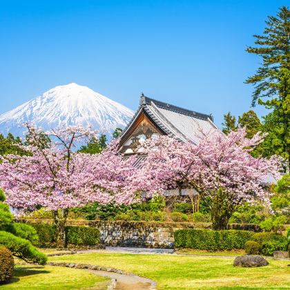 日本东京7日6晚私家团 日本东京7日6晚私家团