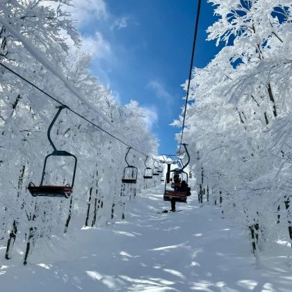 日本山形+秋田+青森+藏王温泉滑雪场+十和田湖+奥入濑溪流+东京10日9晚自由行 日本山形+秋田+青森+藏王温泉滑雪场+十和田湖+奥入濑溪流+东京10日9晚自由行