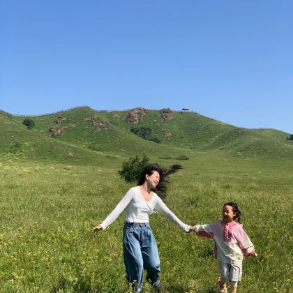 张家口+乌兰布统旅游区+坝上+承德5日4晚拼小团 张家口+乌兰布统旅游区+坝上+承德5日4晚拼小团